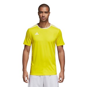 adidas entrada 18 ss jersey