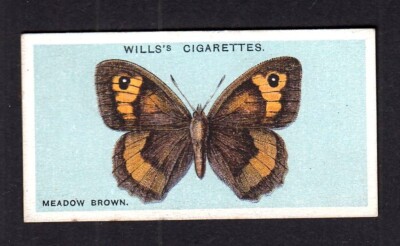 40350/ Will´s Cigarettes   Butterflies   No. 15   Meadow Brown