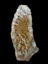 LUNA AGATE SLAB - UNPOLISHED Red Cabbing Lapidary Rough Raw Rock Slice Mineral