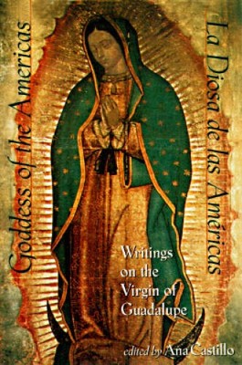 Goddess of the Americas / La Diosa de Las Americas: Writings on the Virgi - GOOD