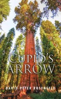 Cupid's Arrow David Peter Rosenfeld Taschenbuch Kartoniert / Broschiert Englisch