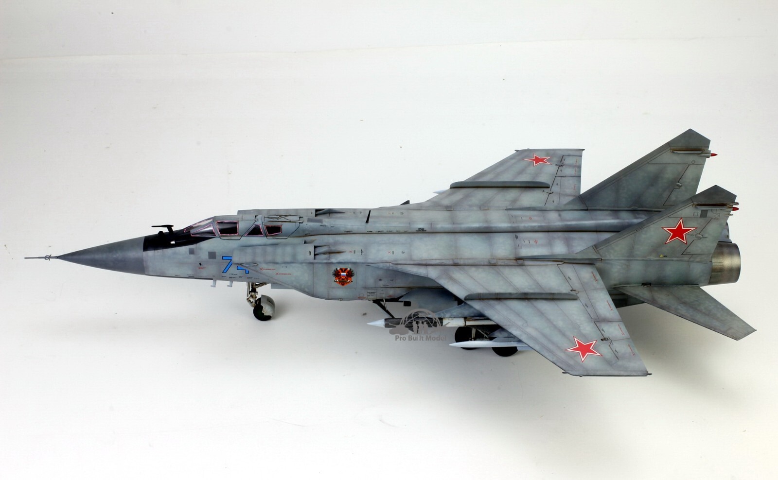 PreSale Russia MiG-31 Foxhound 1:48 Pro Built Model
