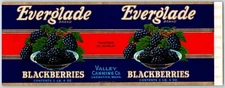 Everglade Blackberries Paper Can Label Carnation, WA c1935 NOS VGC Scarce