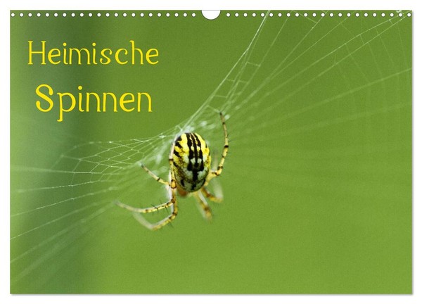 "Calendar 2027 · US Version · Native Spiders (Wall Calendar 2027 17\" × 12\" Landsc"-image