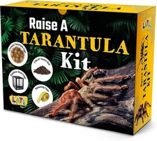 Prank Tarantula Raise - Wrap Your Real Gift in a Prank Funny Gag Joke Gift Box ;