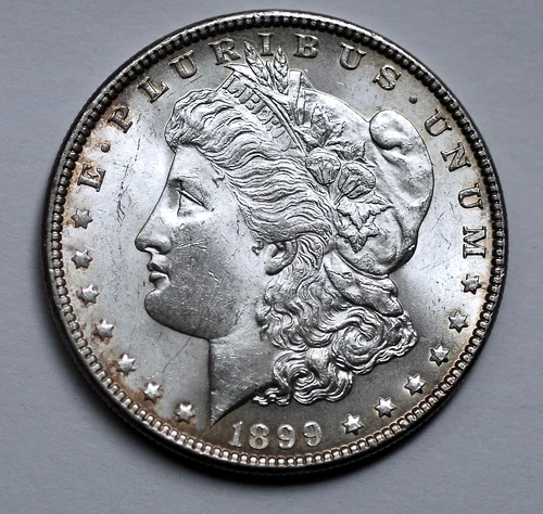 1899-P Morgan Silver Dollar UNC!