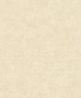 Vliestapete Einfarbig Struktur Beton Optik Vintage Creme Beige A53702 (3,28€/1Qm