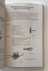 Picture 10 of 10