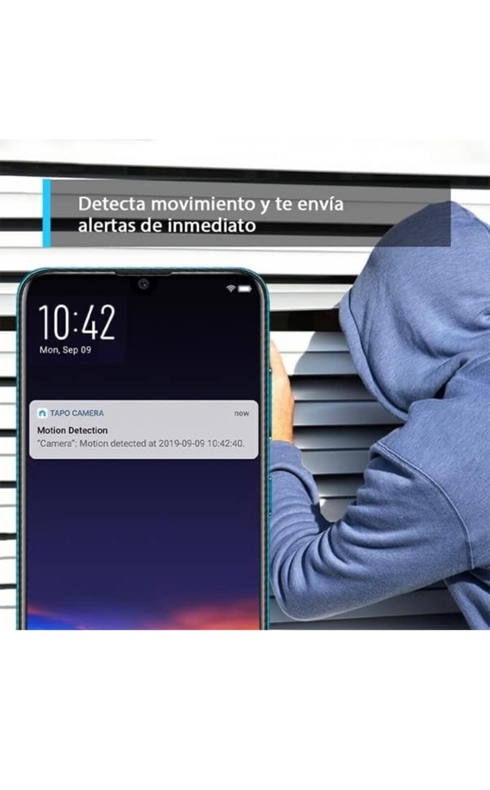 Imagen 2 de 4