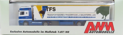 AWM 694101 H0 - Camión DAF con remolque TFS
