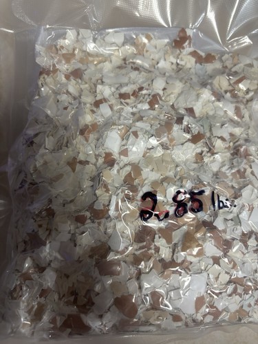 Eggshells Bag 2.85 lb