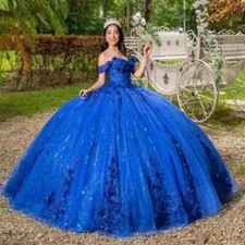 Ball Gown Quinceanera Dresses Vestidos De 15 Anos Appliques Formal Princess