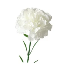  10 Bunches Bouquet of Artificial Silk Flower Carnations,Single Flower White