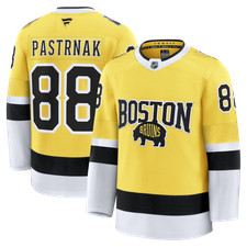 Boston Bruins David Pastrnak #88 Fanatics 2026 NHL Stadium Series Premium Jersey