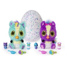 hatchimals hatchibabies koalabee