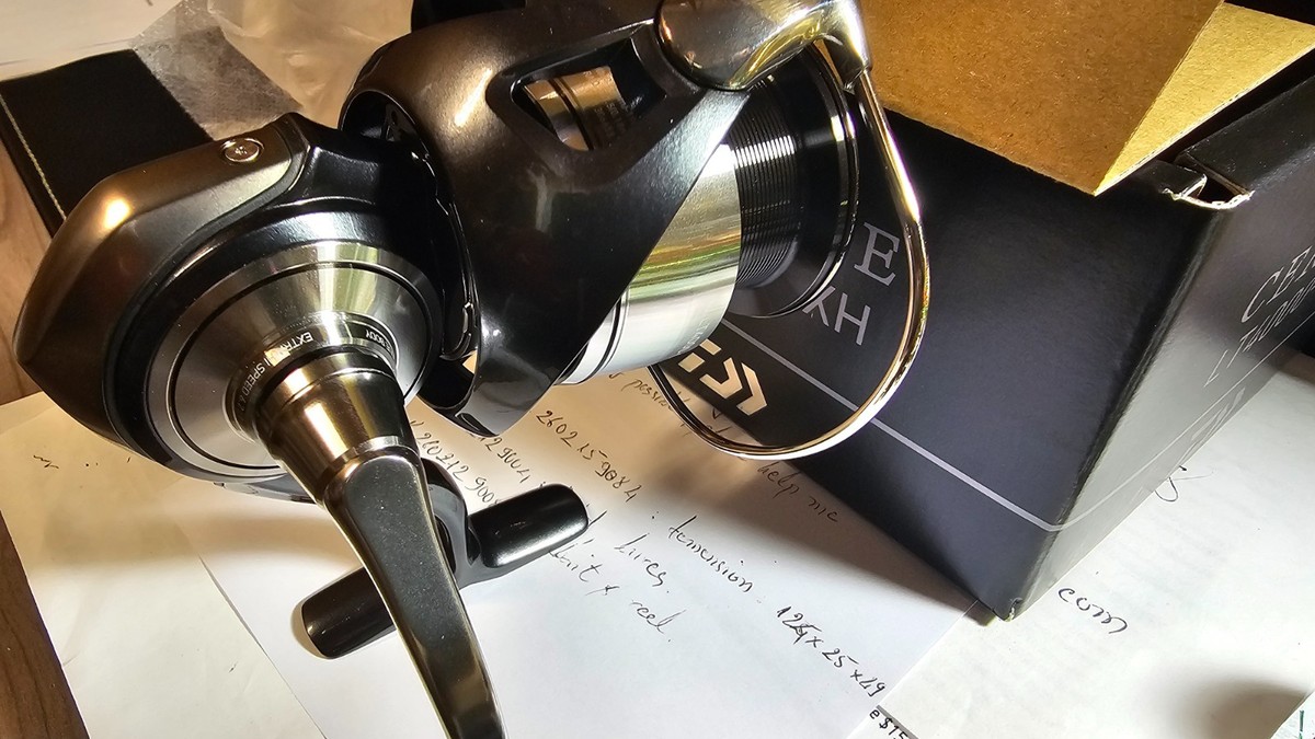 Daiwa 24 Certate LT4000-CXH | eBay