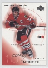 2001-02 Upper Deck Challenge for the Cup Tony Amonte #14 m5x