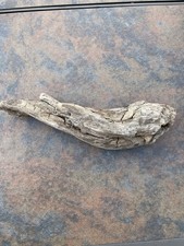 Natural Driftwood for Plants Terrarium Taxidermy Art Projects
