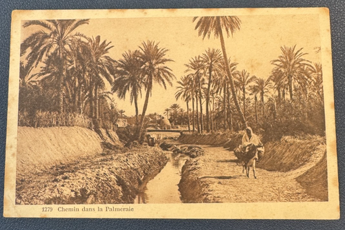 CPA TYPES TUNISIE Maroc Algerie ? Fillette Arabe Carte Postale Ancienne