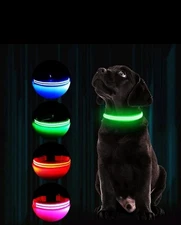 LED Glowing Dog Pet Rechargeable Waterproof Collar Night Light Small Red