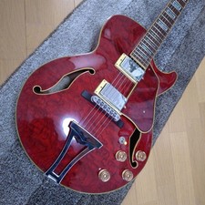 Ibanez AG85TRD Usado