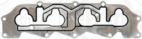 Dichtung AnsaugkrüMmer Elring 832.244 FüR Mondeo Nga Ford Bfp Bnp Bap Rka Gbp 1