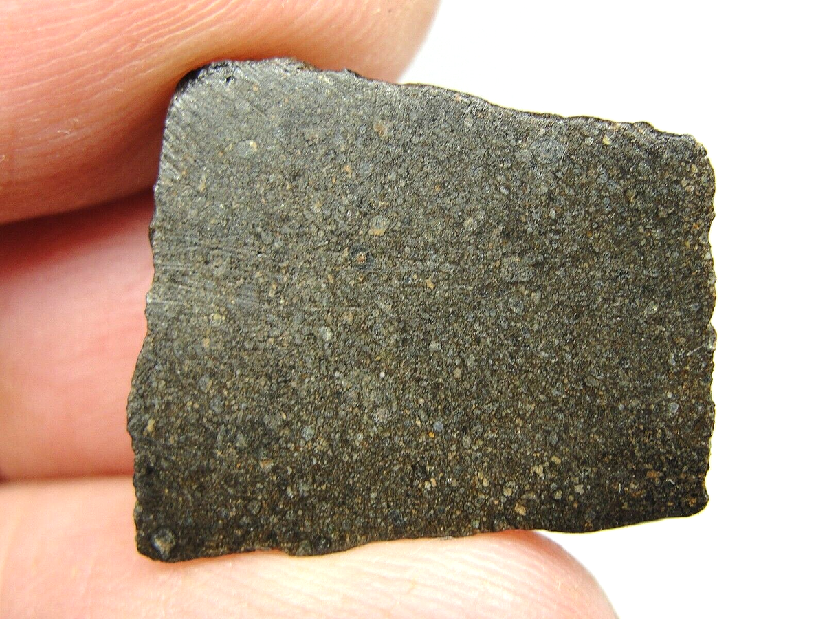 NWA 15937 Carbonaceous CO3.05 Chondrite - G741-0009 - 3.57g - #2