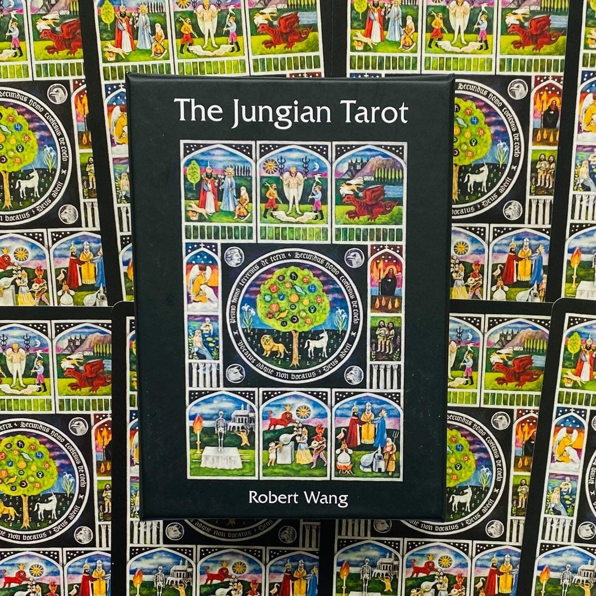 THE JUNGIAN TAROT CARDS DECK ROBERT WANG ESOTERIC TELLING US
