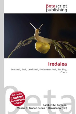 Iredalea Sea Snail, Snail, Land Snail, Freshwater Snail, Sea Slug, Conch Buch