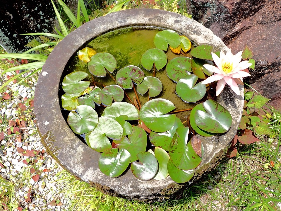 plant pot saucers ceramic Solid Goods main image 1