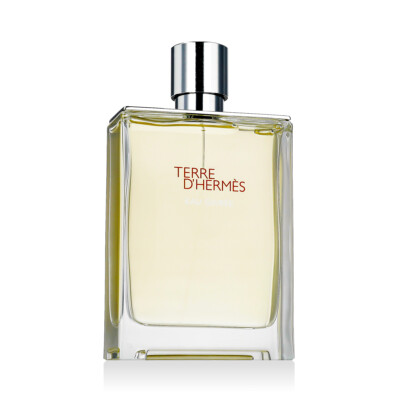 Hermès Terre D'Hermès Eau Givrée Eau De Parfum - nachfüllbar 175 ml (man)