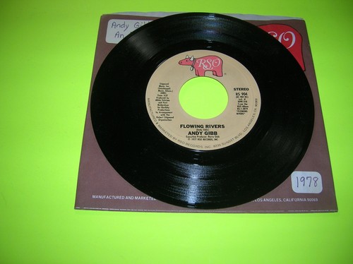 Pop 45 - Andy Gibb - An Everlasting Love - 1978 - Picture 2 of 2