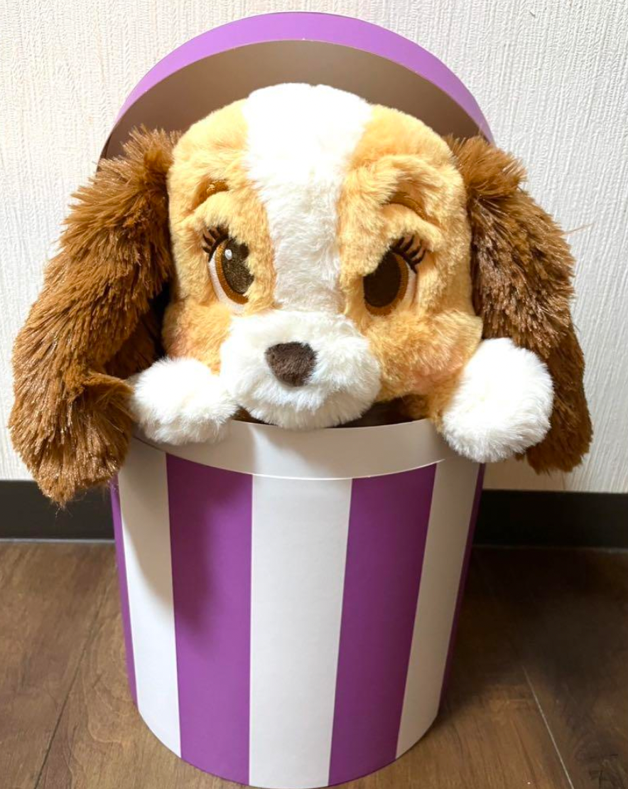 Tokyo Disney Store Plush Toy Box Lady and the Tramp 70th Christmas