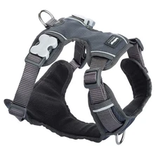 Red Dingo Padded Dog Harness Plain, Cool Grey, Small 15mm Grey S
