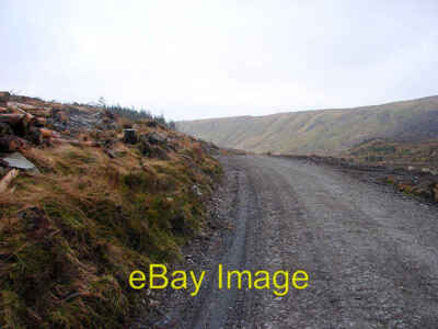 Foto 6x4 A Forststraße in Hafren Carreg Wen Umfangreiche Kahlfällungen ha c2009
