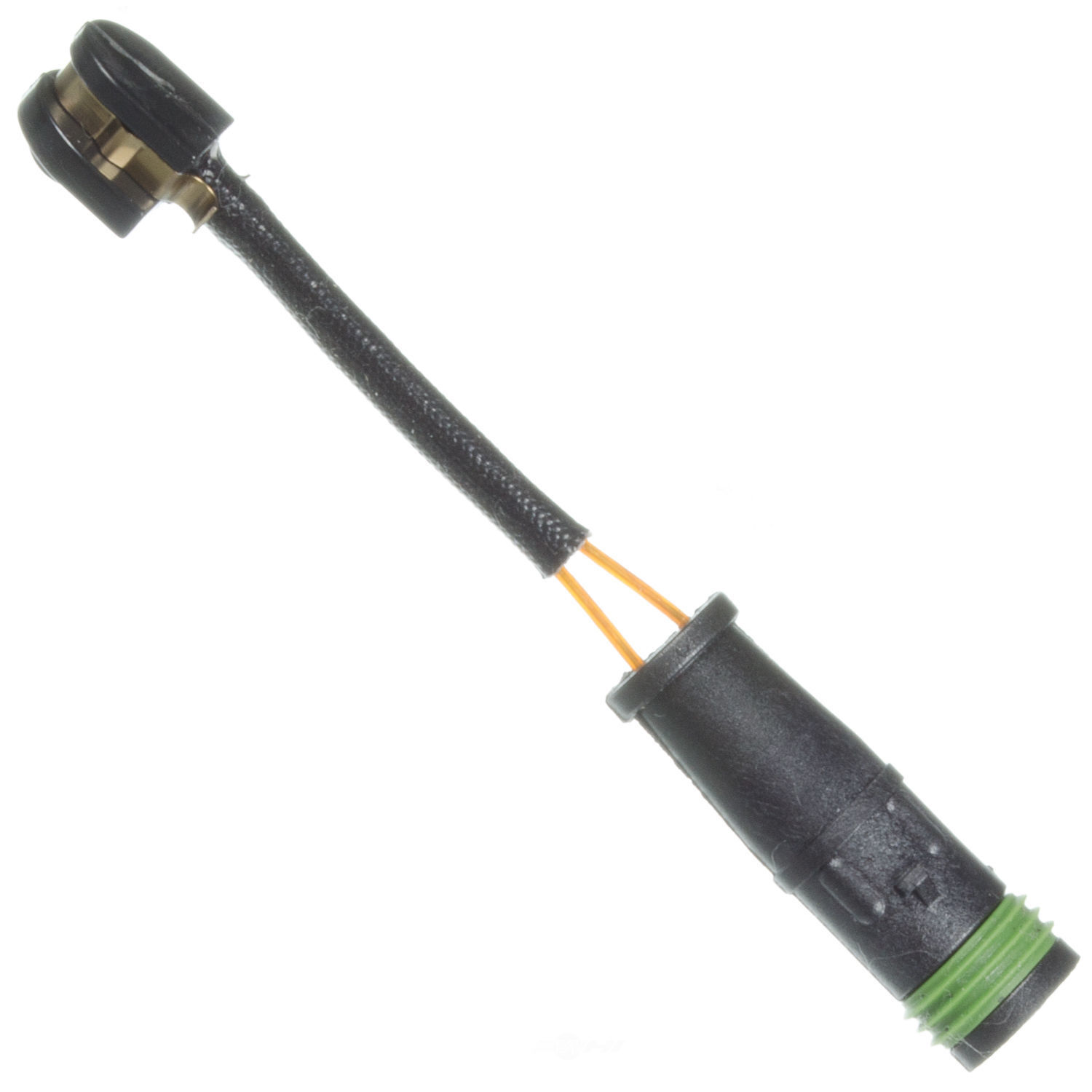 Picture 1