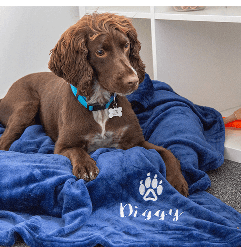 Custom Personalised Embroidered Name Flannel Dog Cat Pet Bed Blanket Throw Gift - Picture 9 of 16