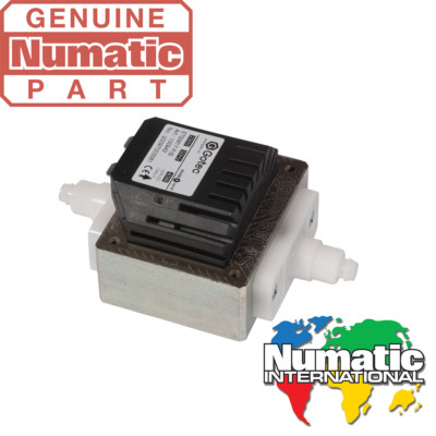 Numatic Original Small Bore Solution Pumpe 216147 GVE370, CT370, CT470