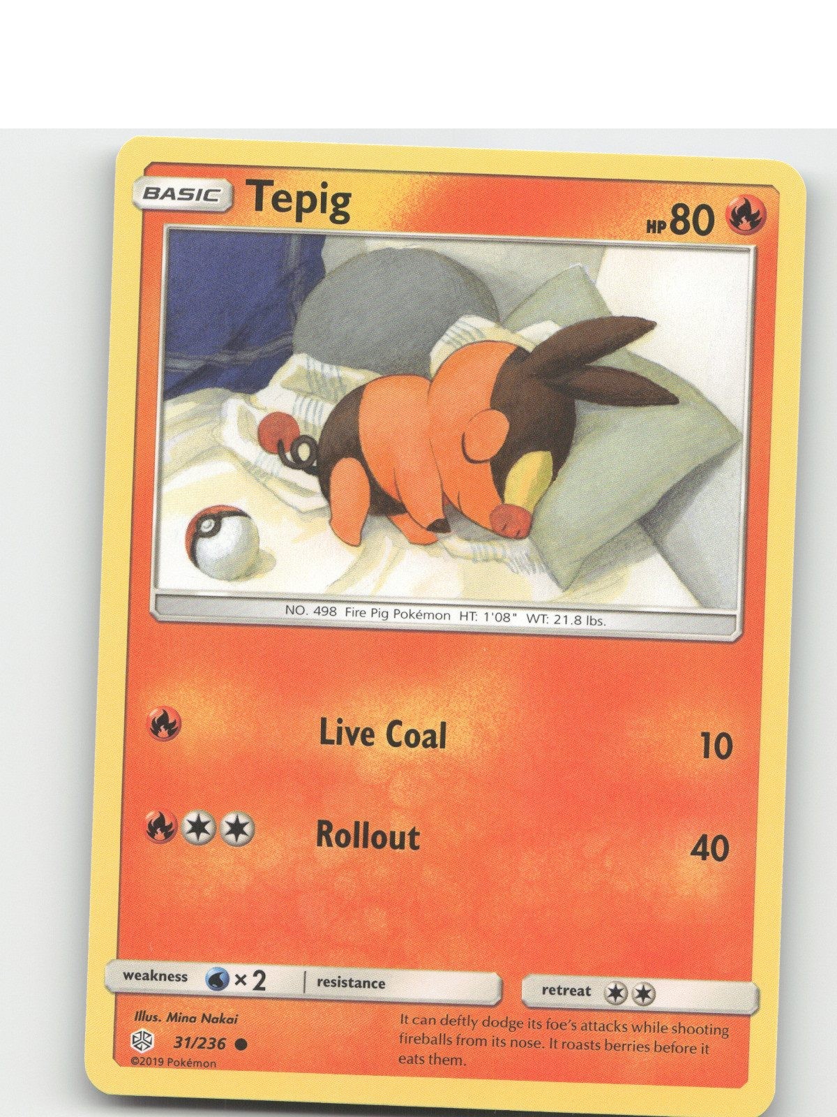 Tepig - 31/236 - [SM12] - NM