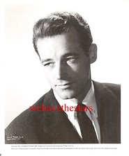 Vintage Guy Madison QUITE HANDSOME SEXY '56 HARD MAN Publicity Portrait