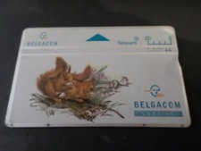 TELECARTE BELGIQUE, BELGACOM THEME ANIMAUX, ECUREUILS