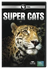 NATURE SUPER CATS