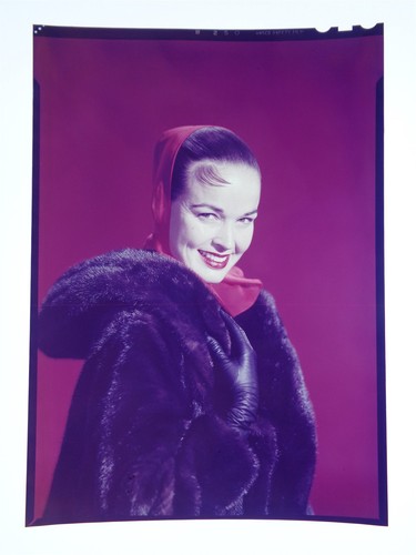 Transfarent Color KF14-897 KATHY GRANT GLAMOUR SHOT 1950s-60s ORIGINAL 5