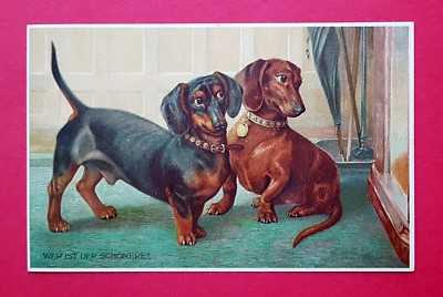 Artist postcard publisher Meissner & book the clever Dachshund Teckel Dachshunde (29457