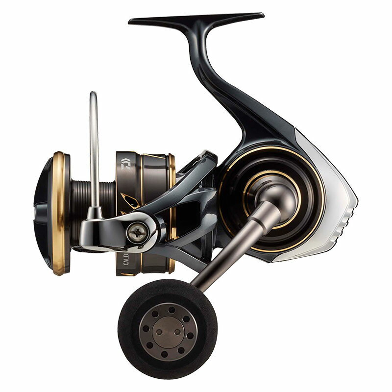 Daiwa 22 CALDIA SW 8000-P Saltwater Spinning reel Casting Daiwa 22 CALDIA SW 8000-P Saltwater Spinning reel Casting