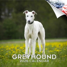 Greyhound Dog Breed Calendar 2026 FULL SIZE 12x24 Made in USA
