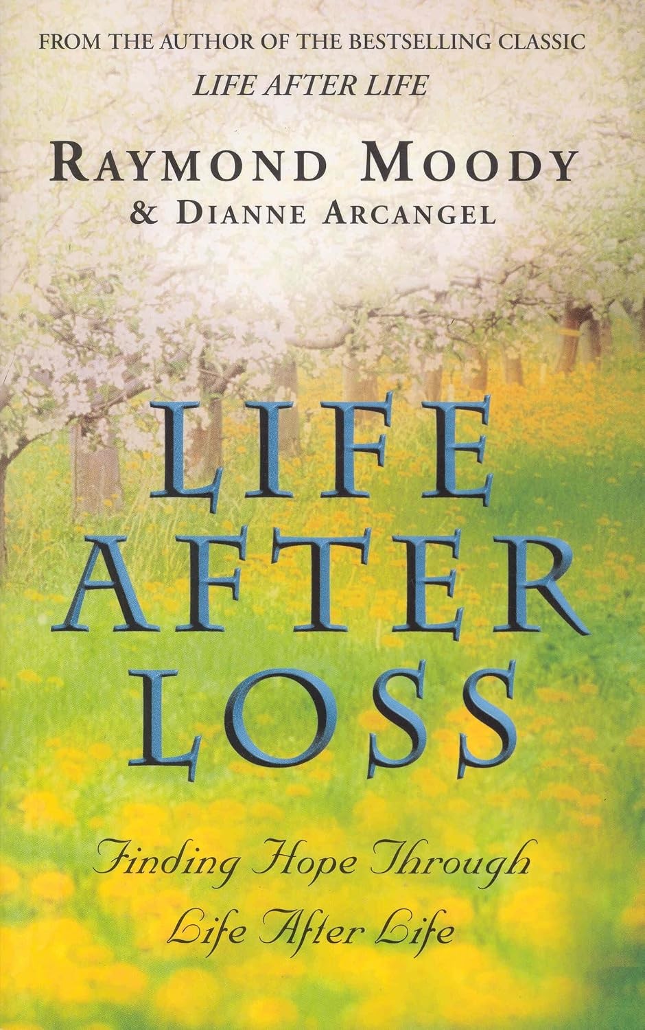 Life After Loss: Finding Hope Through Life After Life by Ray Moody | PB | 2002 - Image 3