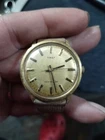 1977 Men's Timex Linnin Dial