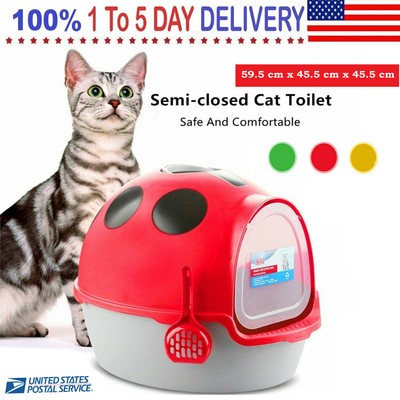 kitty litter delivery