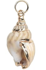Charm, 2 Gold Plated Steel & Enamel 31x17mm Nassa Shell (Natural) Charms